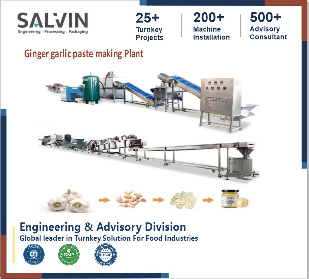 Ginger Garlic Paste Making Plant