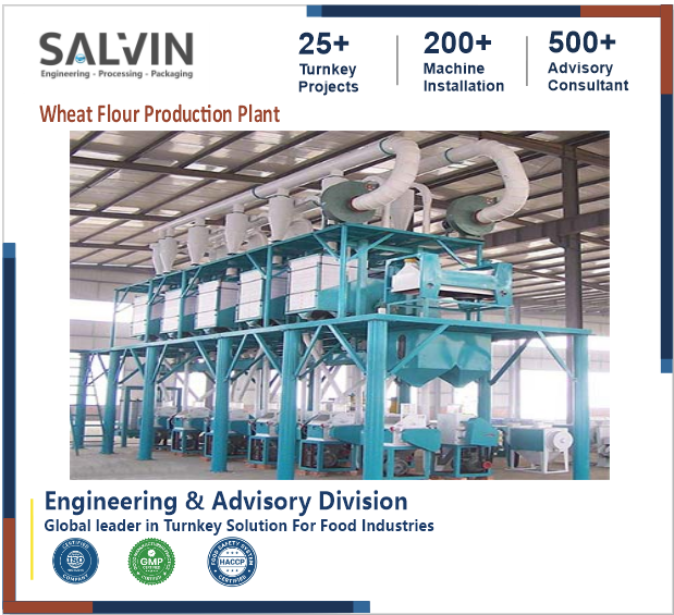 Wheat Flour Production Plant
