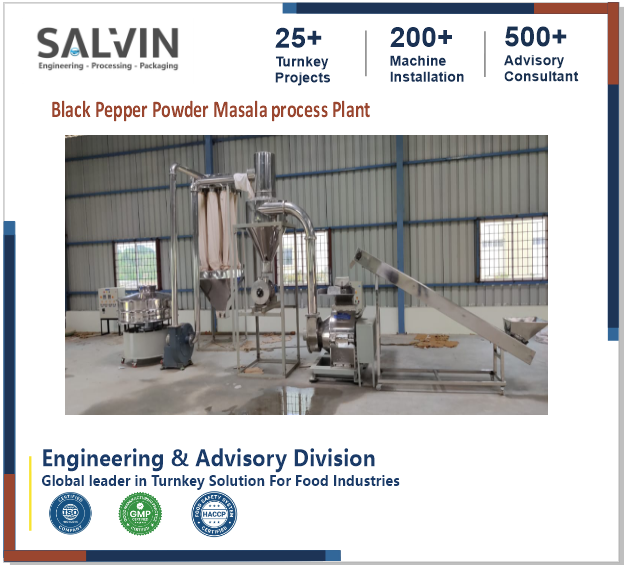 Blank Papper Powder Masala Process Plant